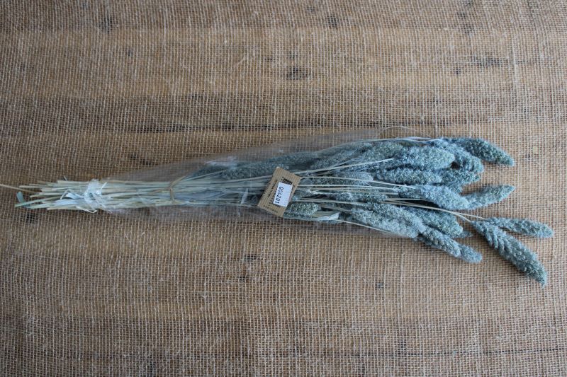 FLORIBERIA- SETARIA 75CM REF. 029.72