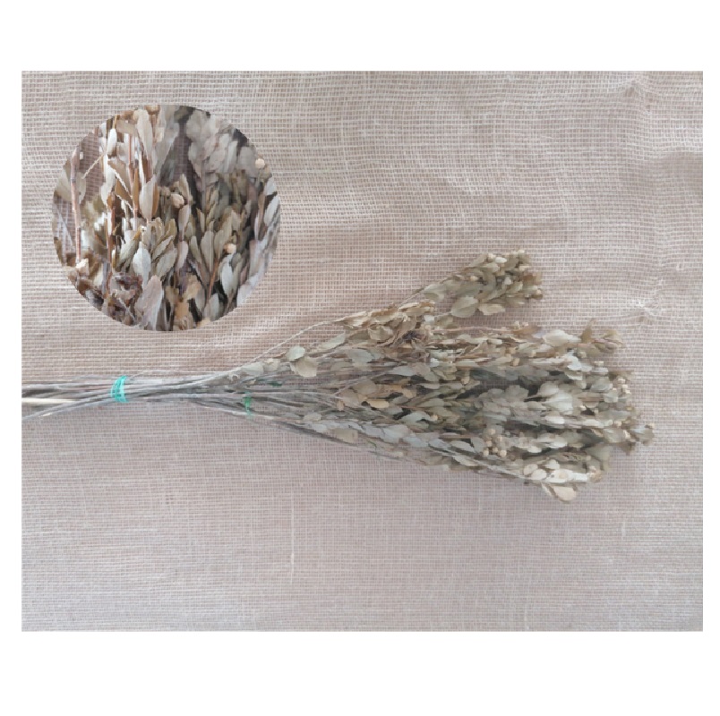 FLORIBERIA- ALECRIM 60CM REF. 314.01