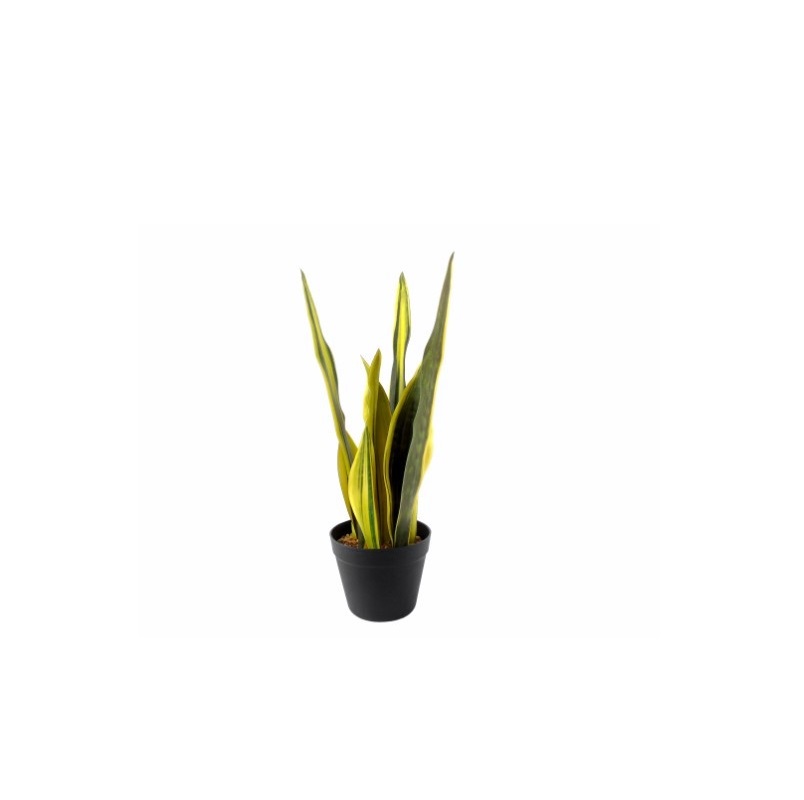 PLANTA ARTIFICIAL SNAKE PLANT 55cm