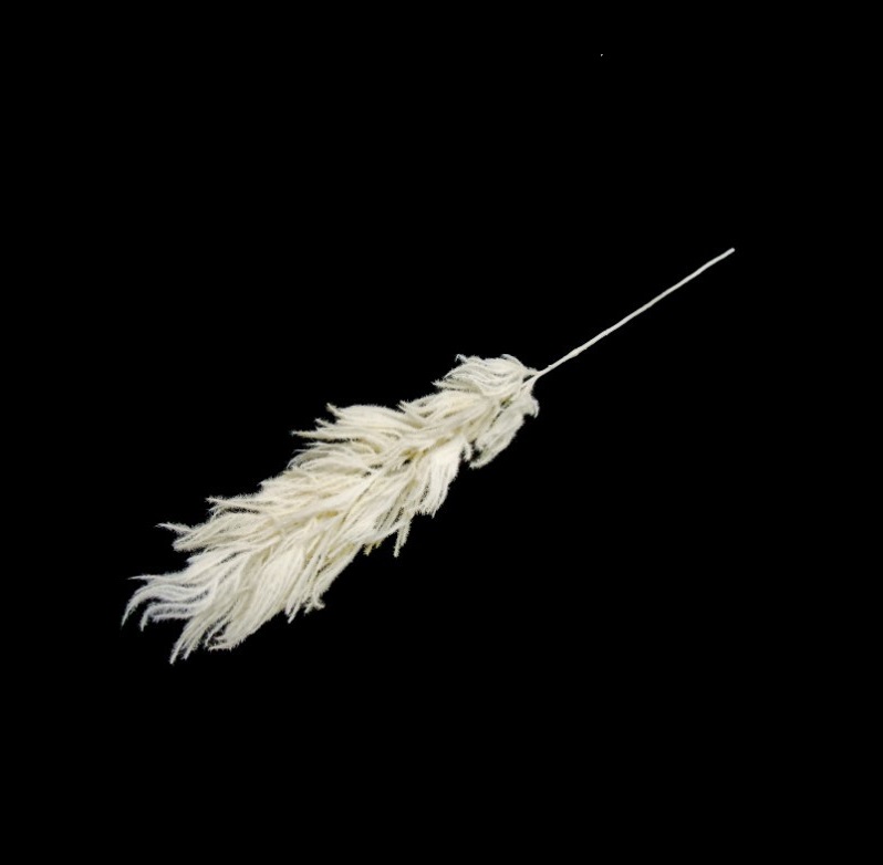 FOLHAGEM PAMPAS GRASS CREME 82cm