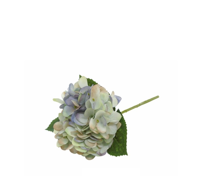 04.0013108.jpg