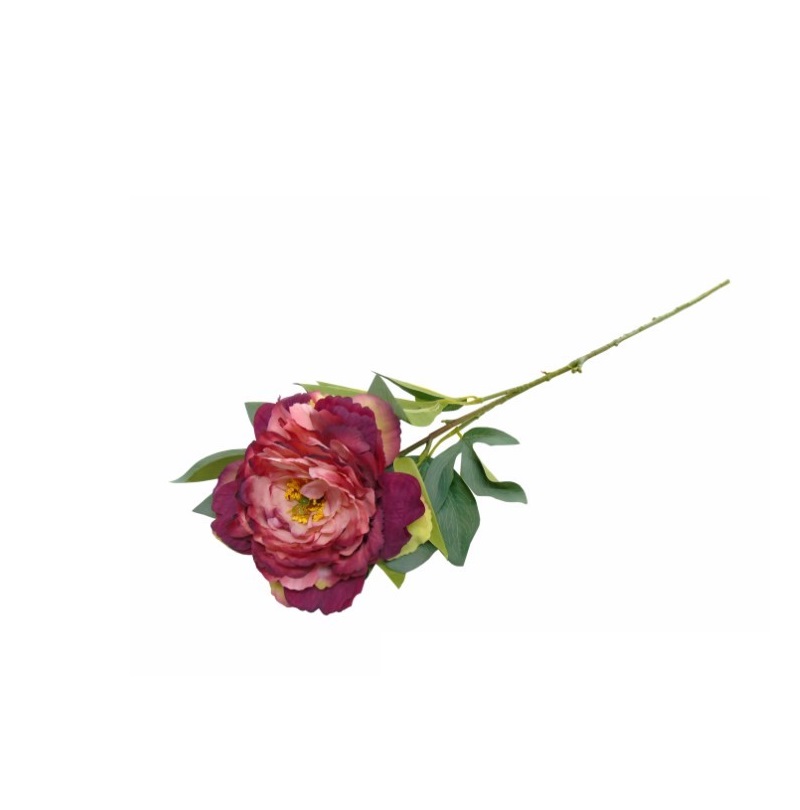 04.0013147.jpg