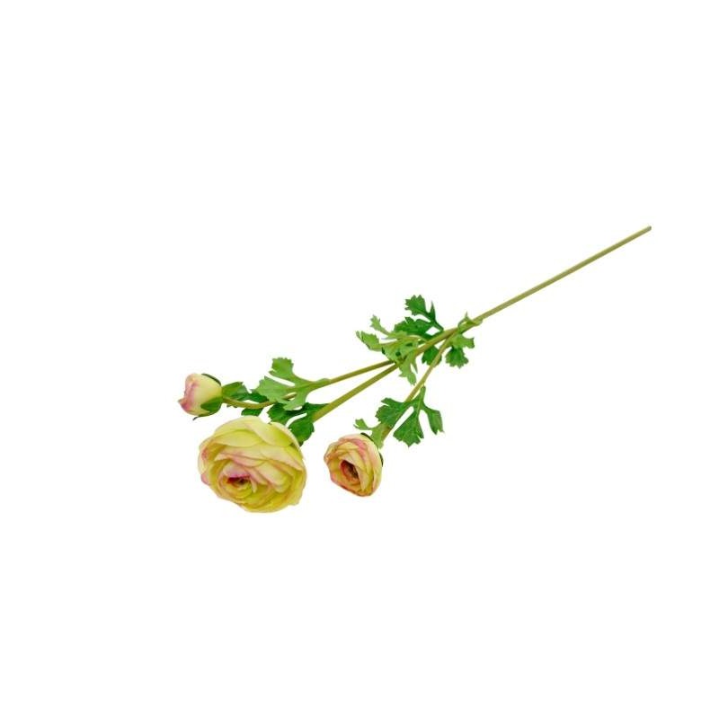 PE RANUNCULO VERDE/ROSA 73cm