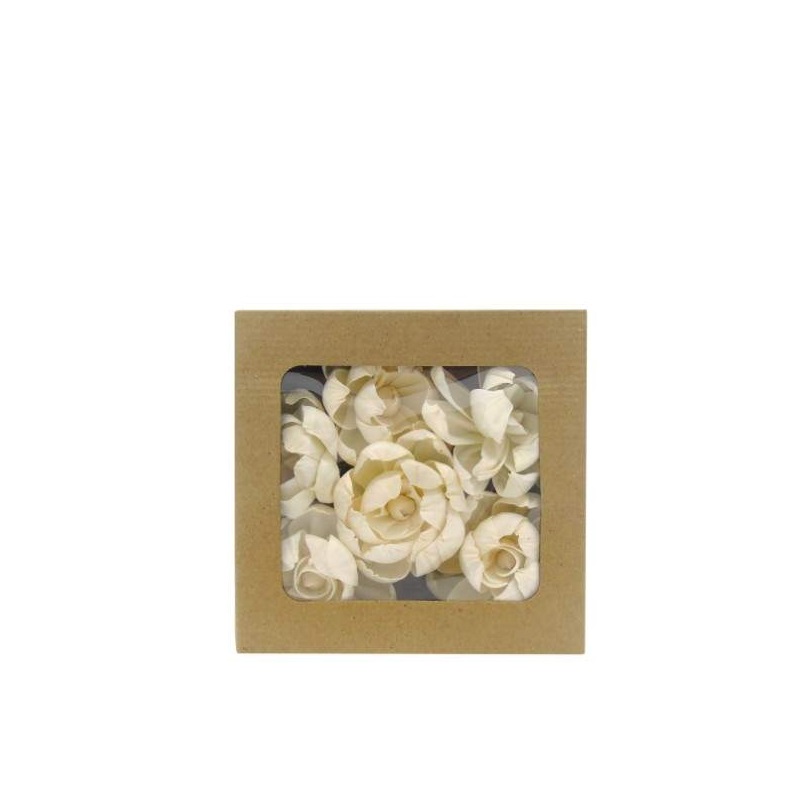 FLOR SECA- CAIXA C/6 "PEONIAS" CREME 19CM