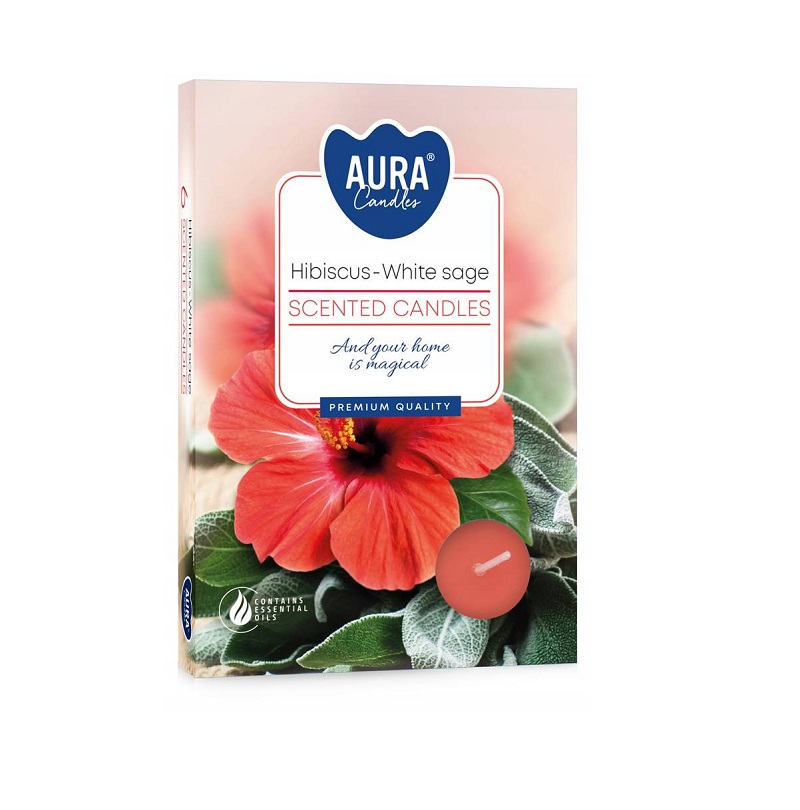 TEALIGHT PERF.CX6 HIBISCUS/SALVIA BR TP15-356
