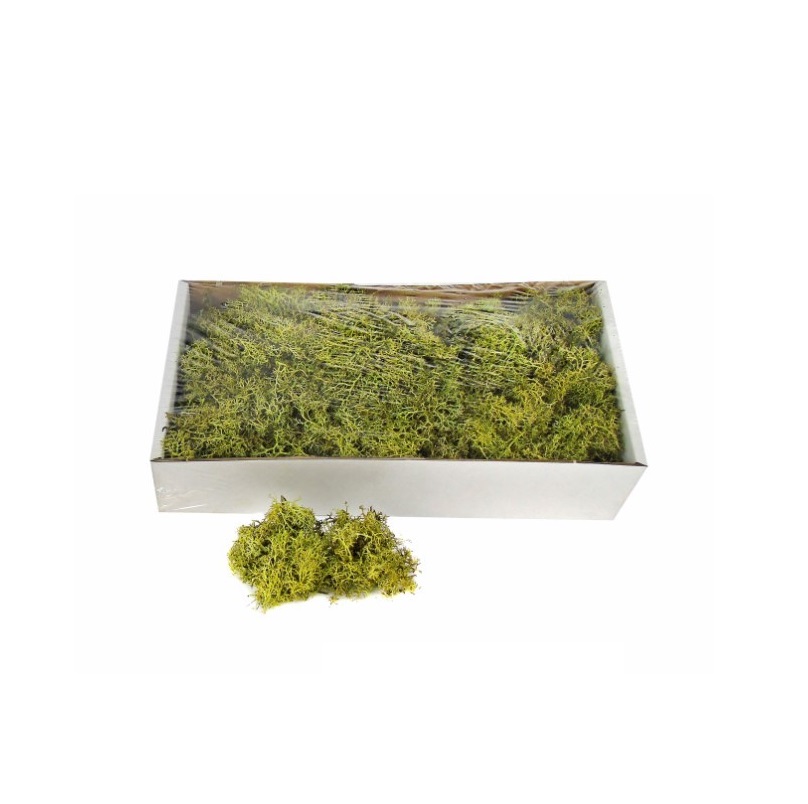 CAIXA C/MUSGO VERDE 400g 37x21x8cm