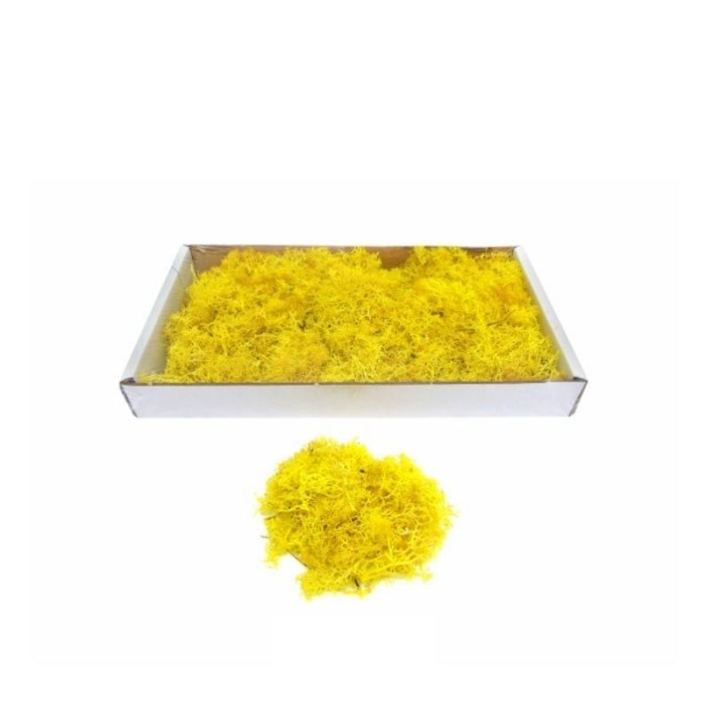 CAIXA MUSGO ESPECIAL AMARELO