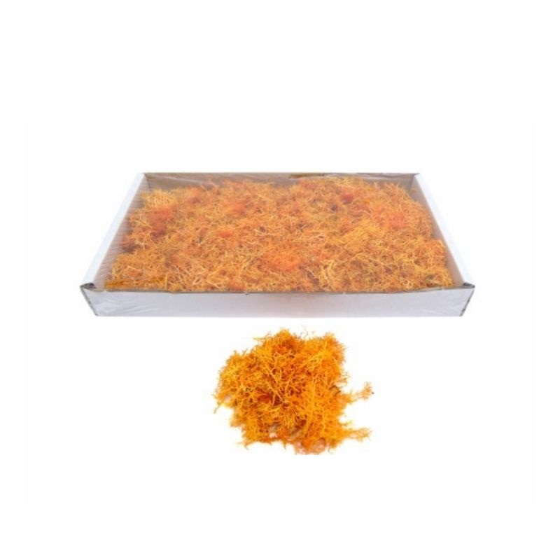 CAIXA MUSGO ESPECIAL LARANJA