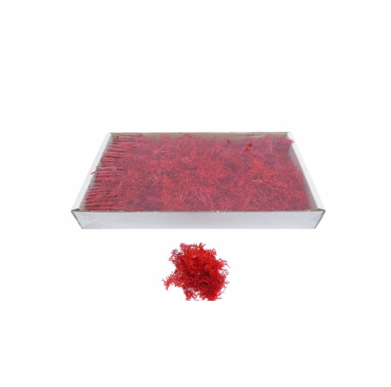 CAIXA MUSGO ESPECIAL VERMELHO