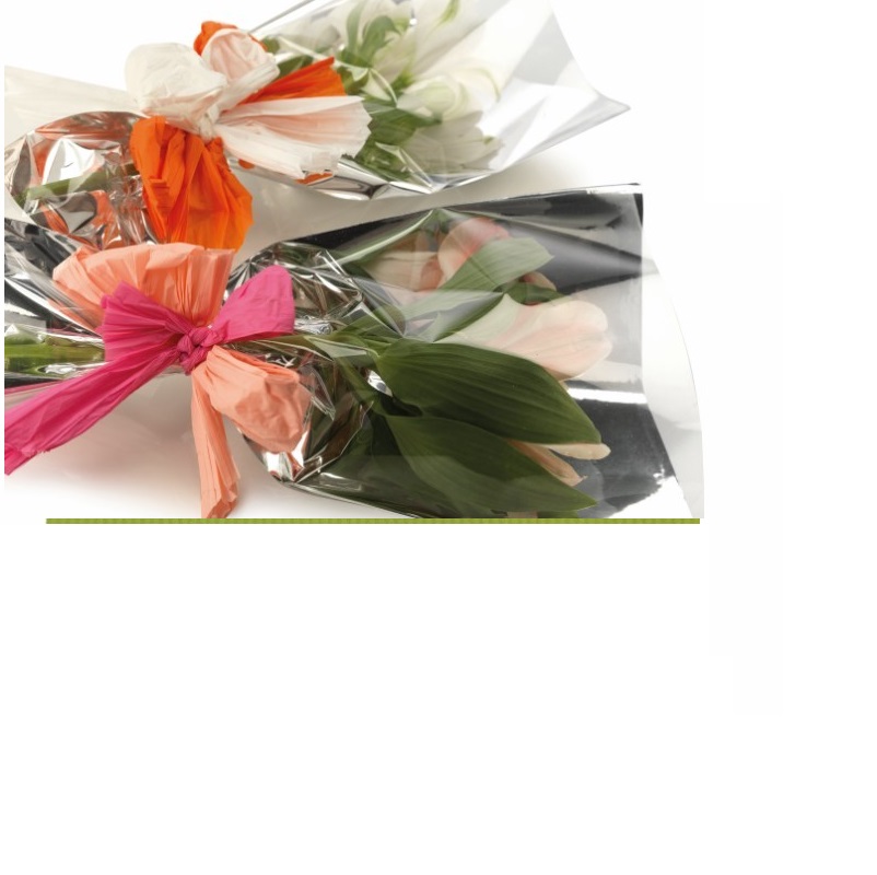 EMB. C/100 CONES PLAST. ARGENTATI 15x5x70cm