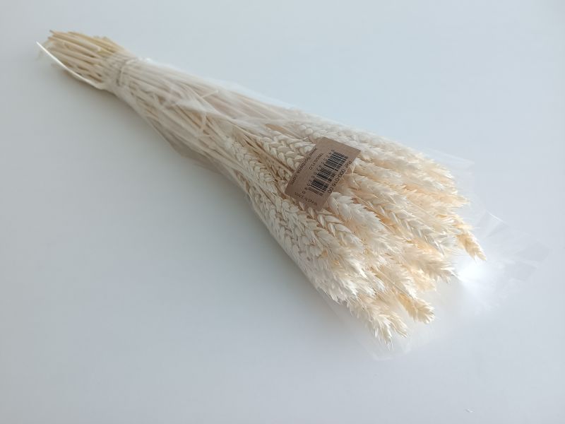 FLORIBERIA- TRIGO FLO 80CM REF. 016.00