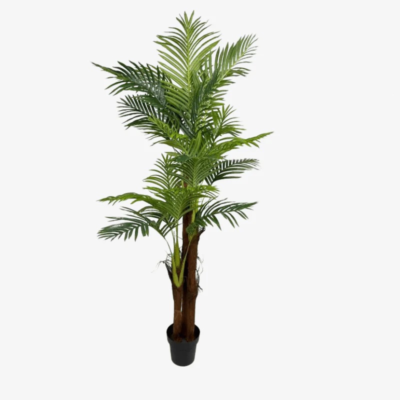 PLANTA PALMEIRA 100CM