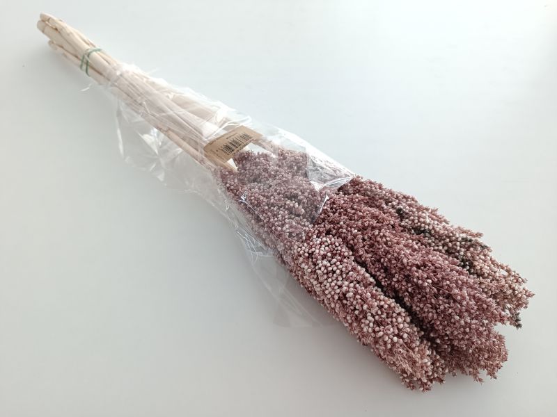 FLORIBERIA- SORGHUM 80CM REF. 014F40