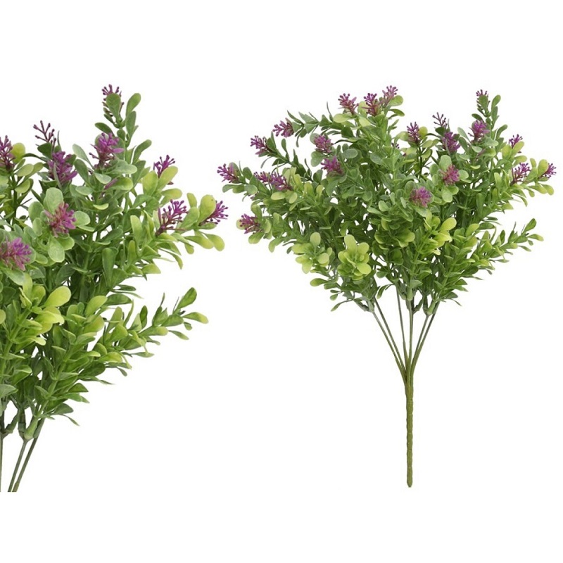 LAVANDA X7 36cm